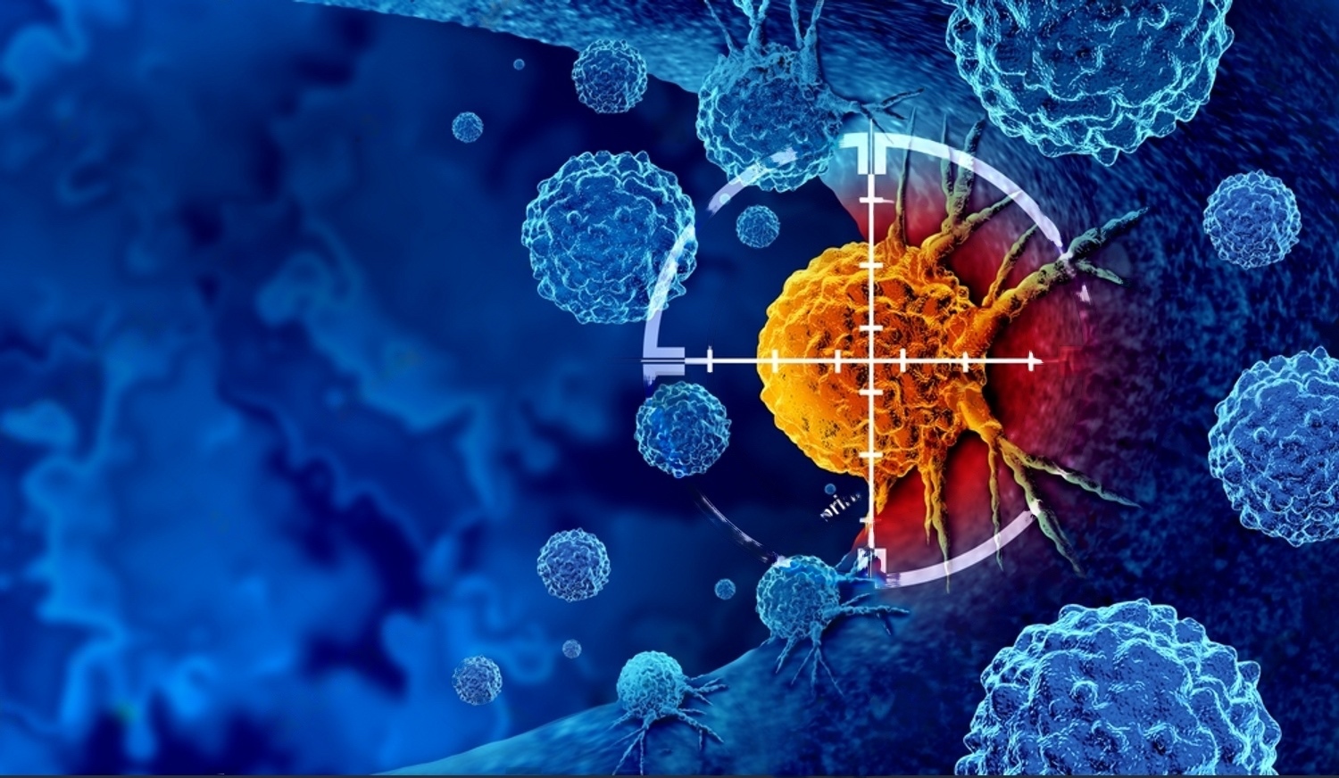 Έκθεση: Η ουσία PFAS σχετίζεται με όγκους στους όρχεις