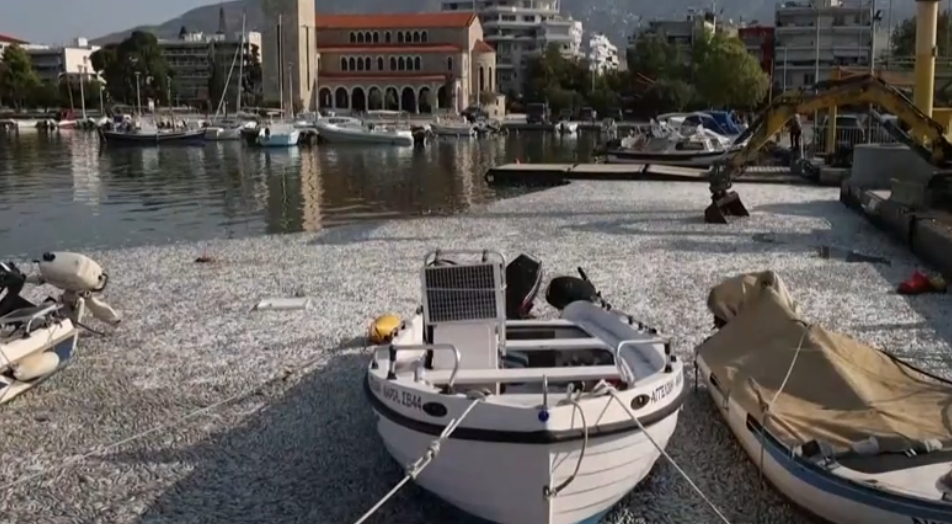 Η επόμενη μέρα στον Βόλο και το μάθημα της Θεσσαλίας